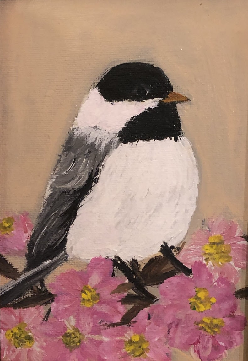 Bird